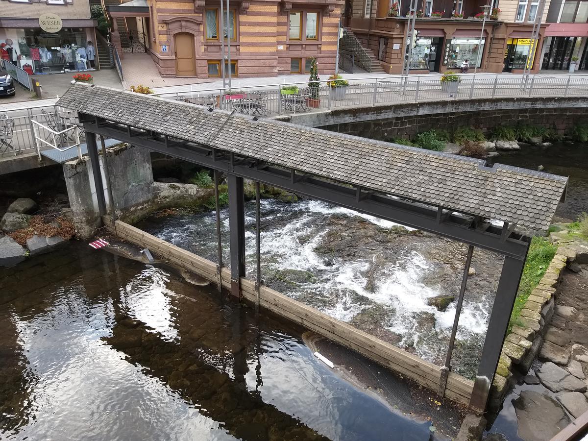 Hotel Sonne Bad Wildbad Kültér fotó